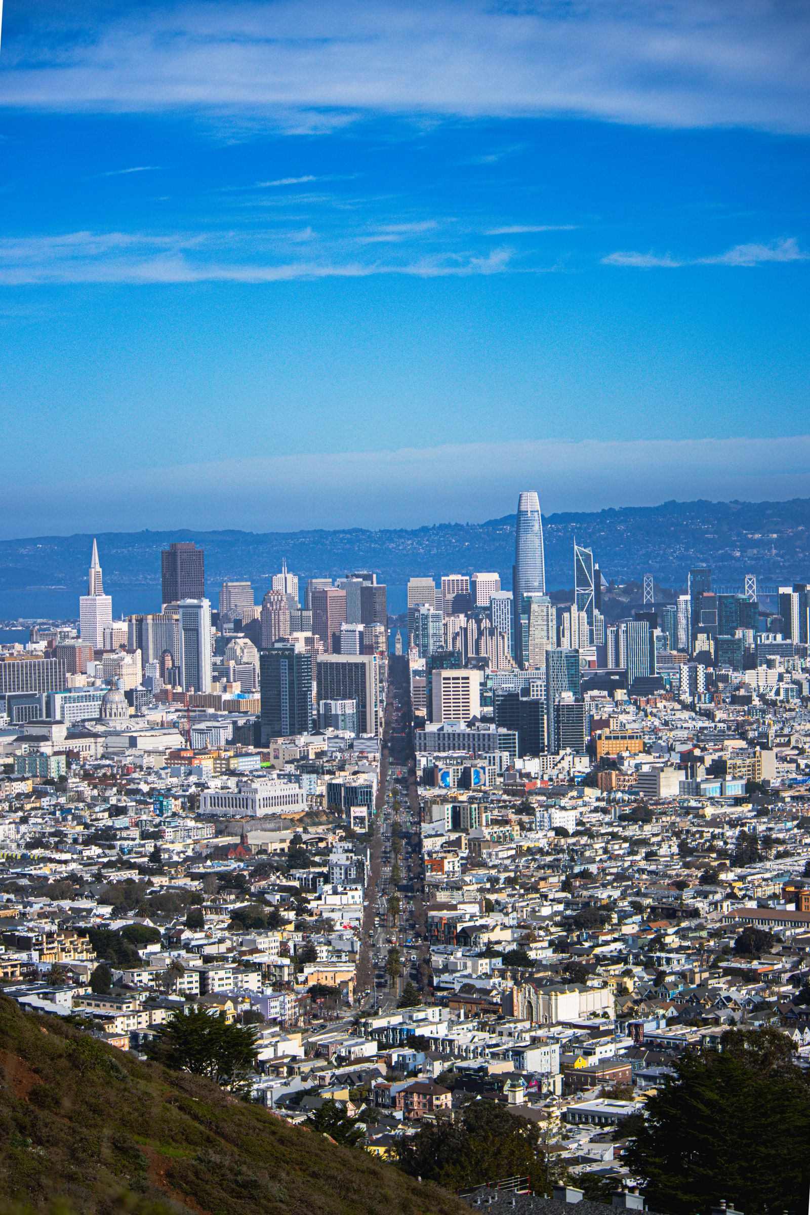 San Francisco skyline